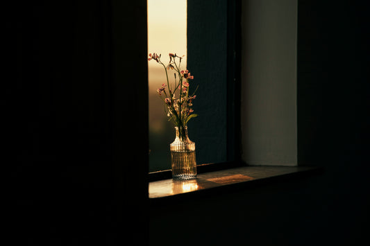 Why Energy is the New Career Currency